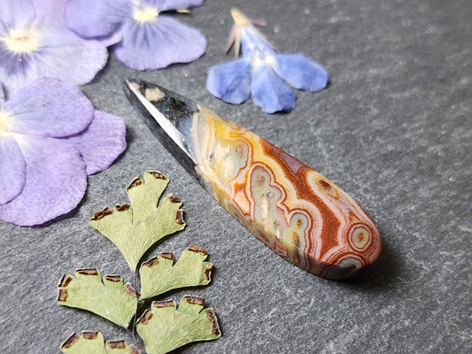 Petrified palm wood