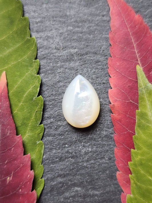 Mother of pearl