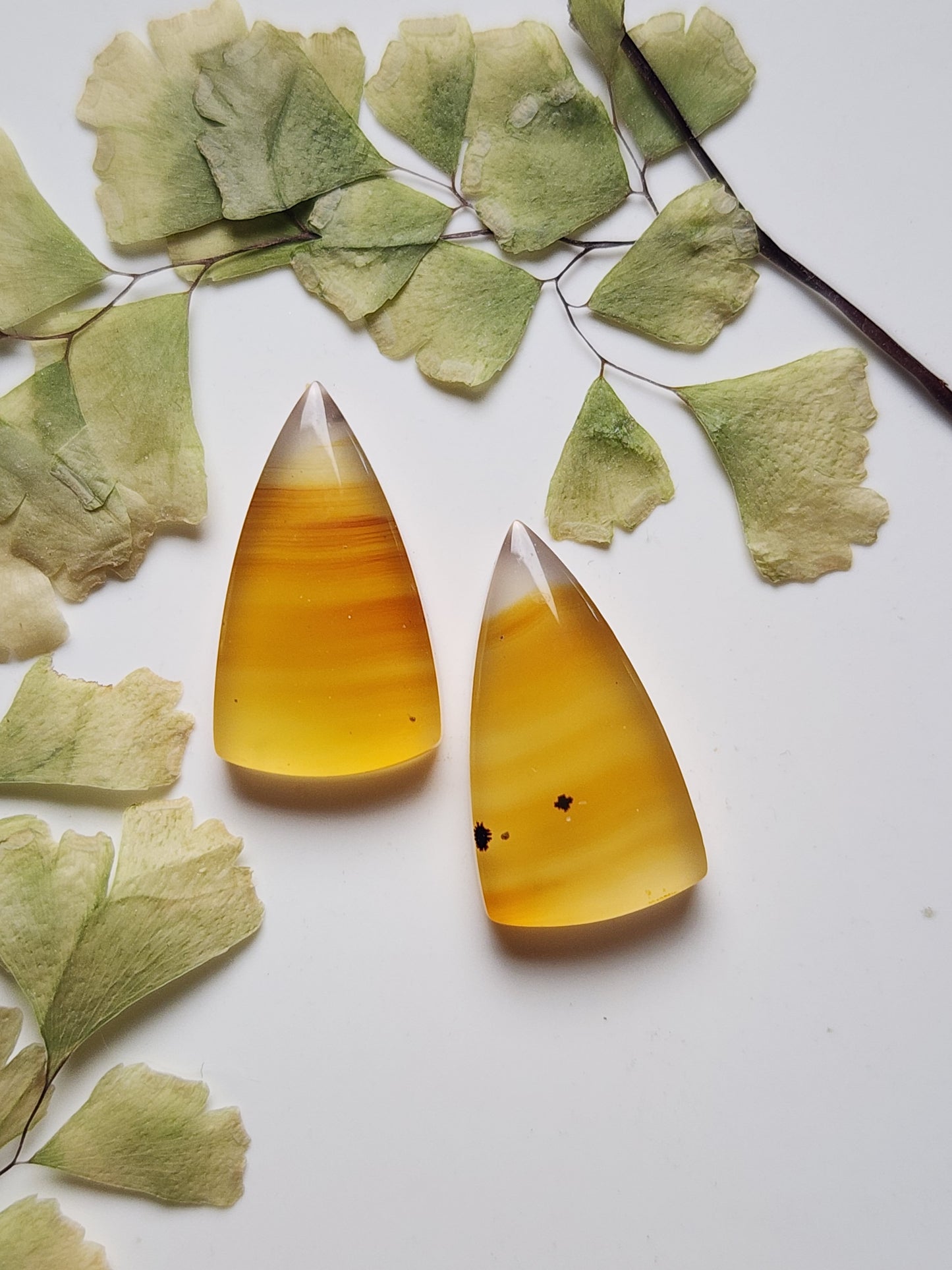 Montana agate pair