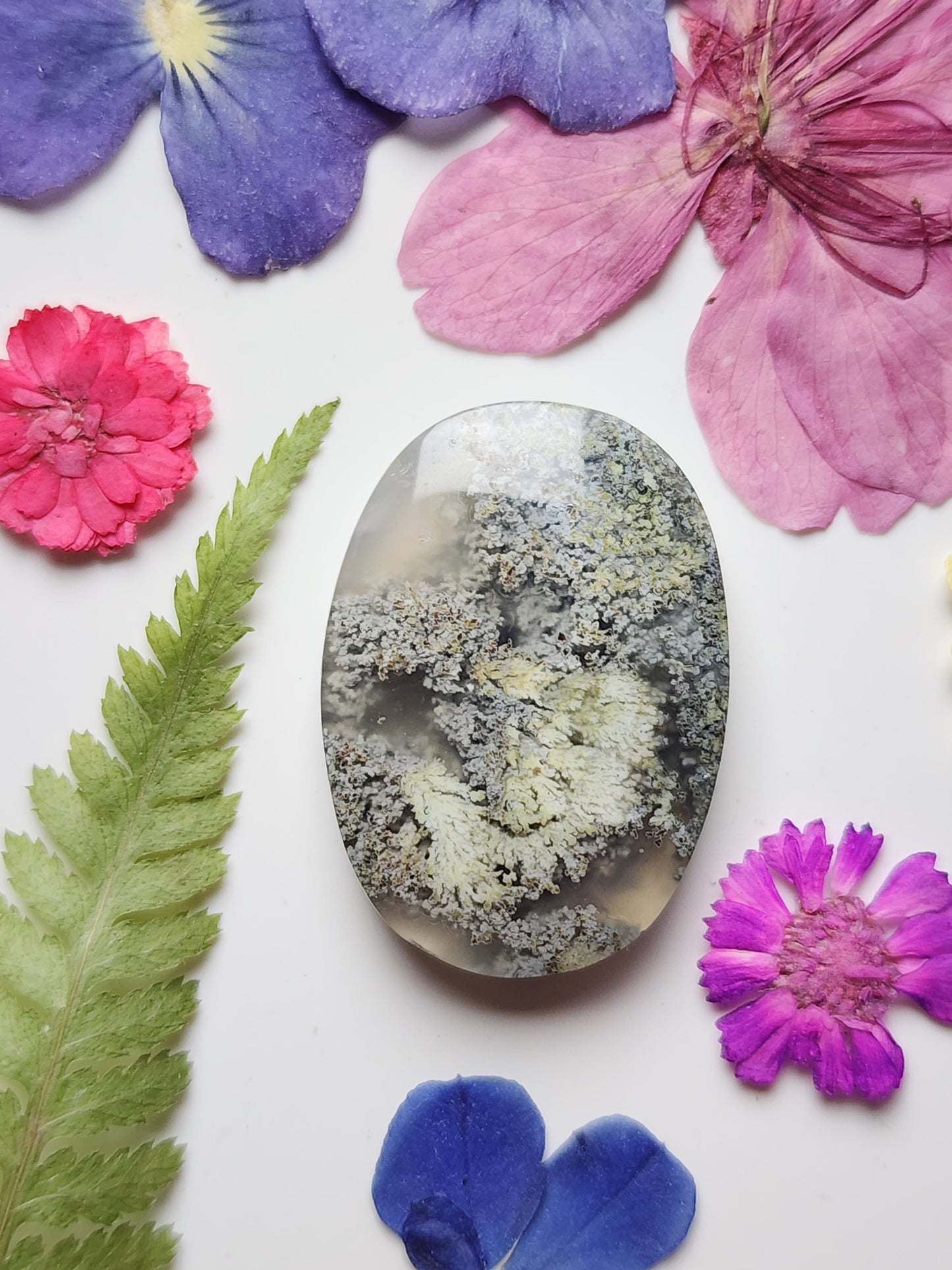 Garden moss agate