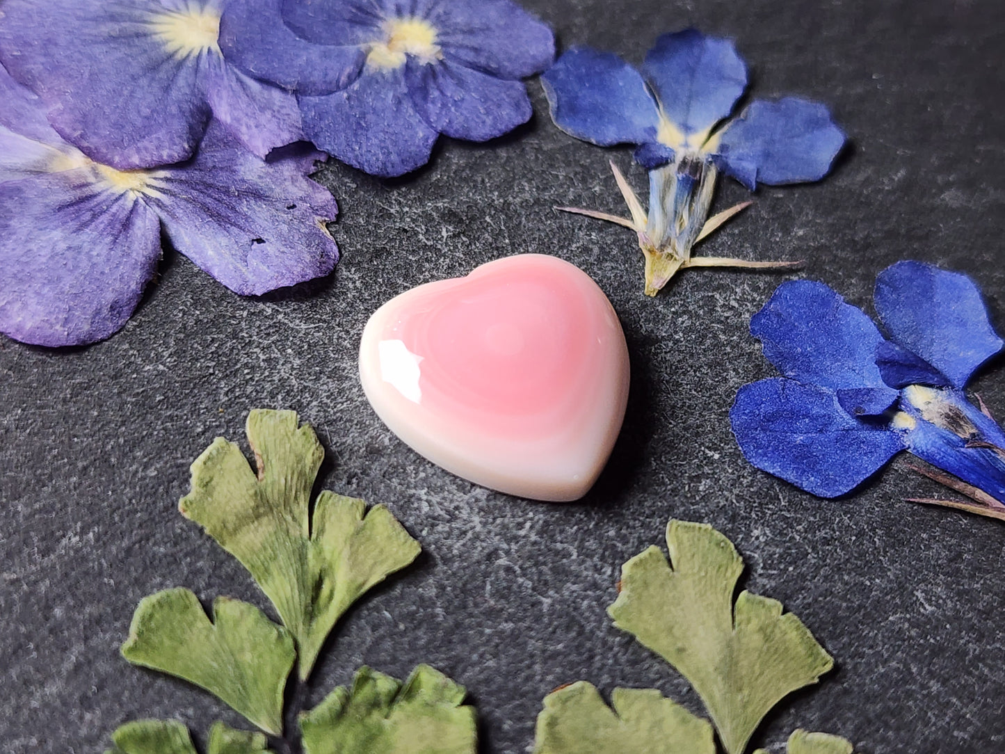 Pink conch shell heart