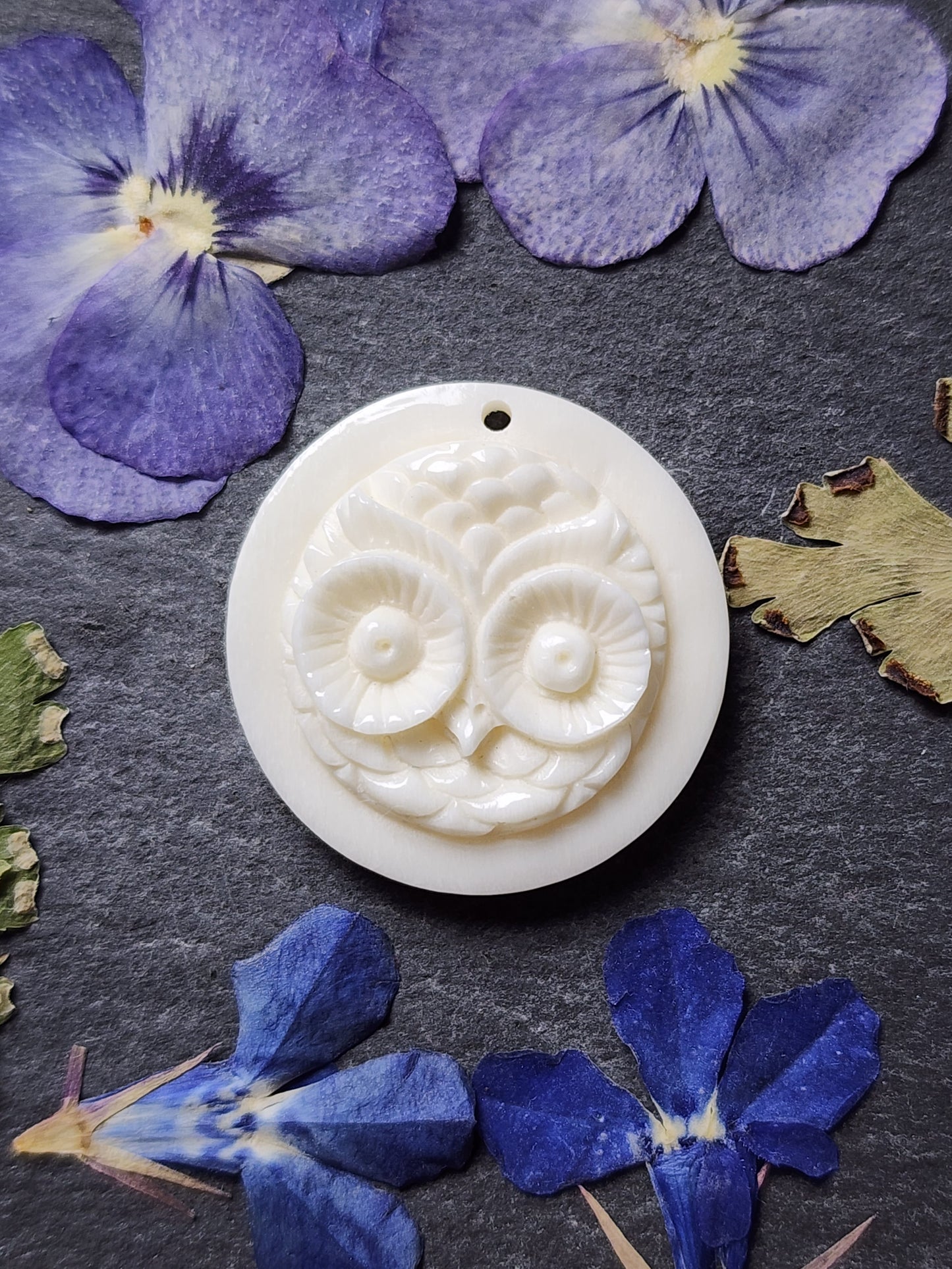 Owl face