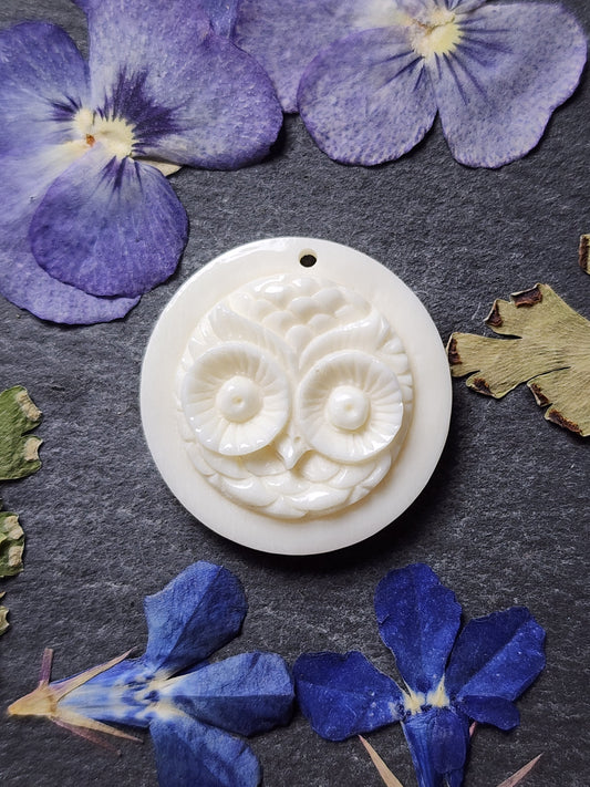 Owl face