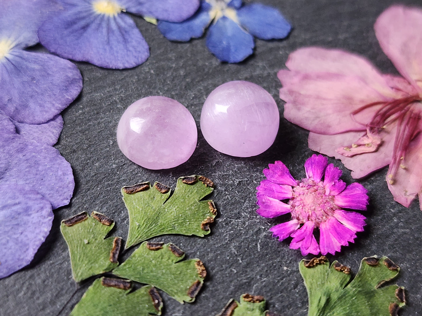 Lavender Kunzite pair