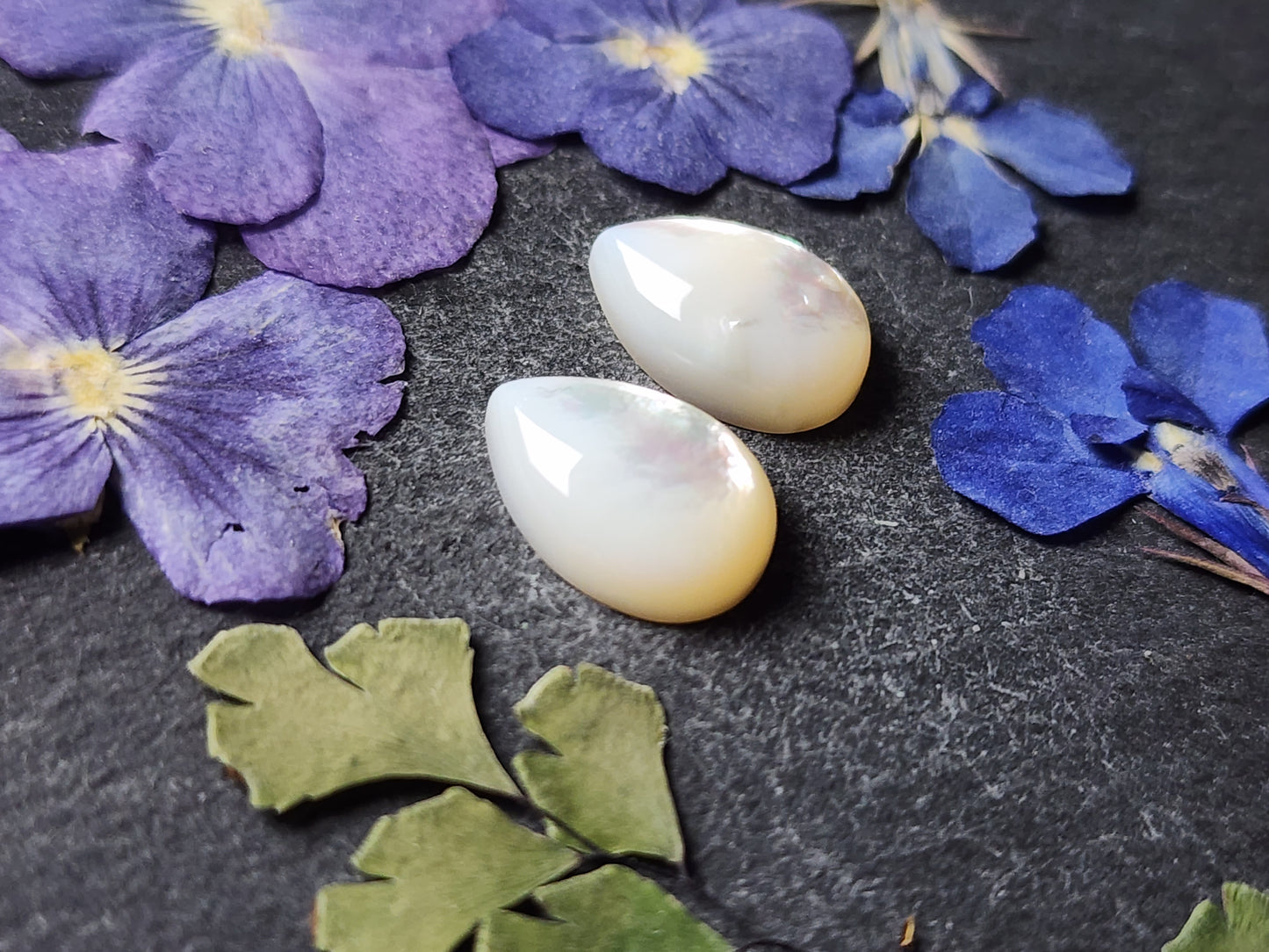 Mother of pearl shell pair (A1)