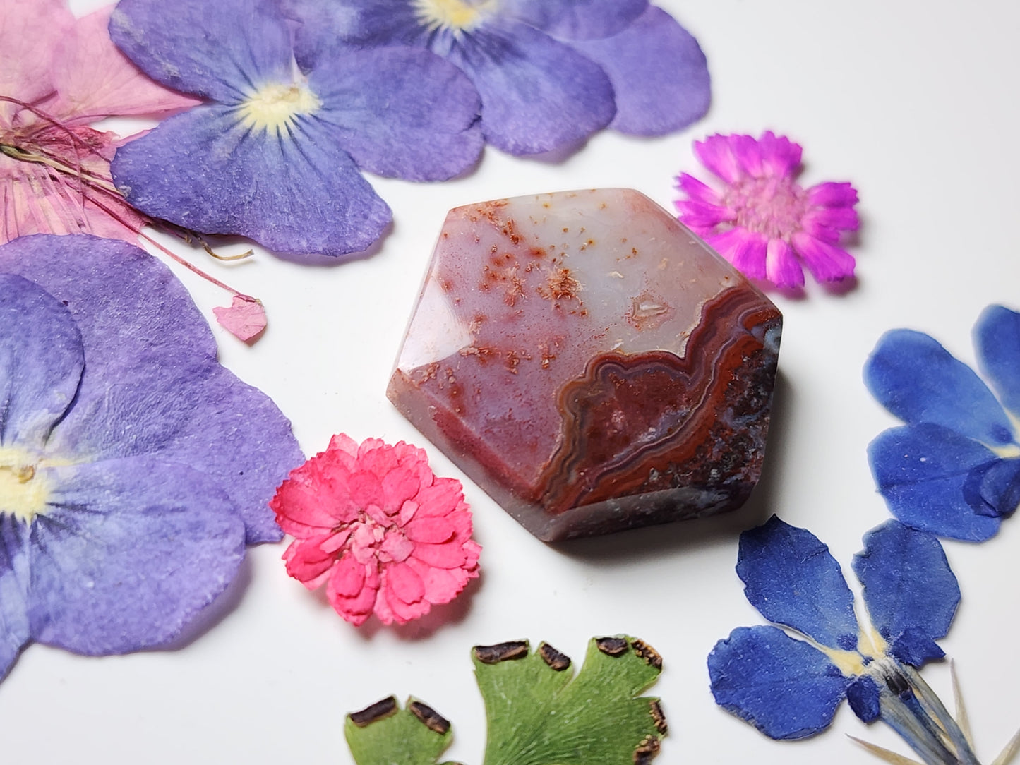 Rincon lace agate