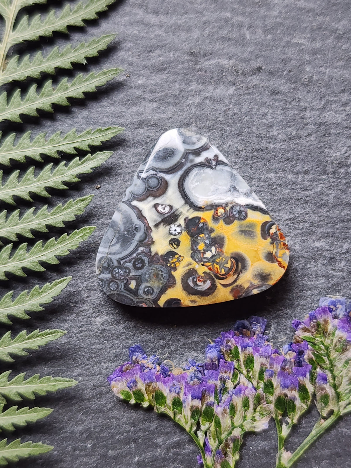 Galaxy Rhyolite