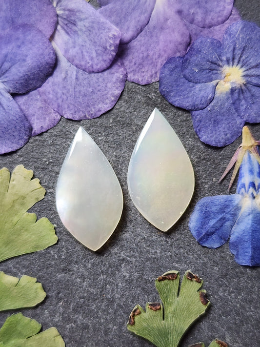 Mother of pearl shell pair