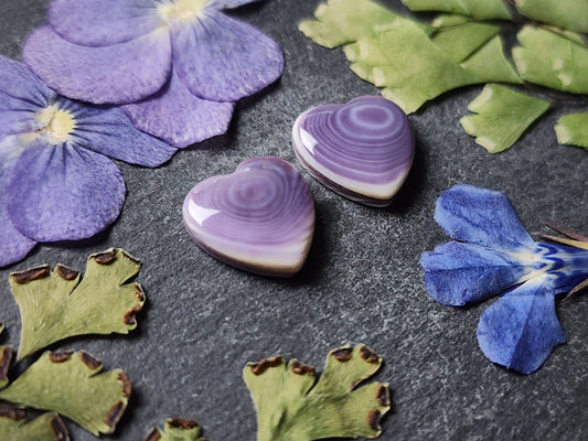 Wampum shell heart pair