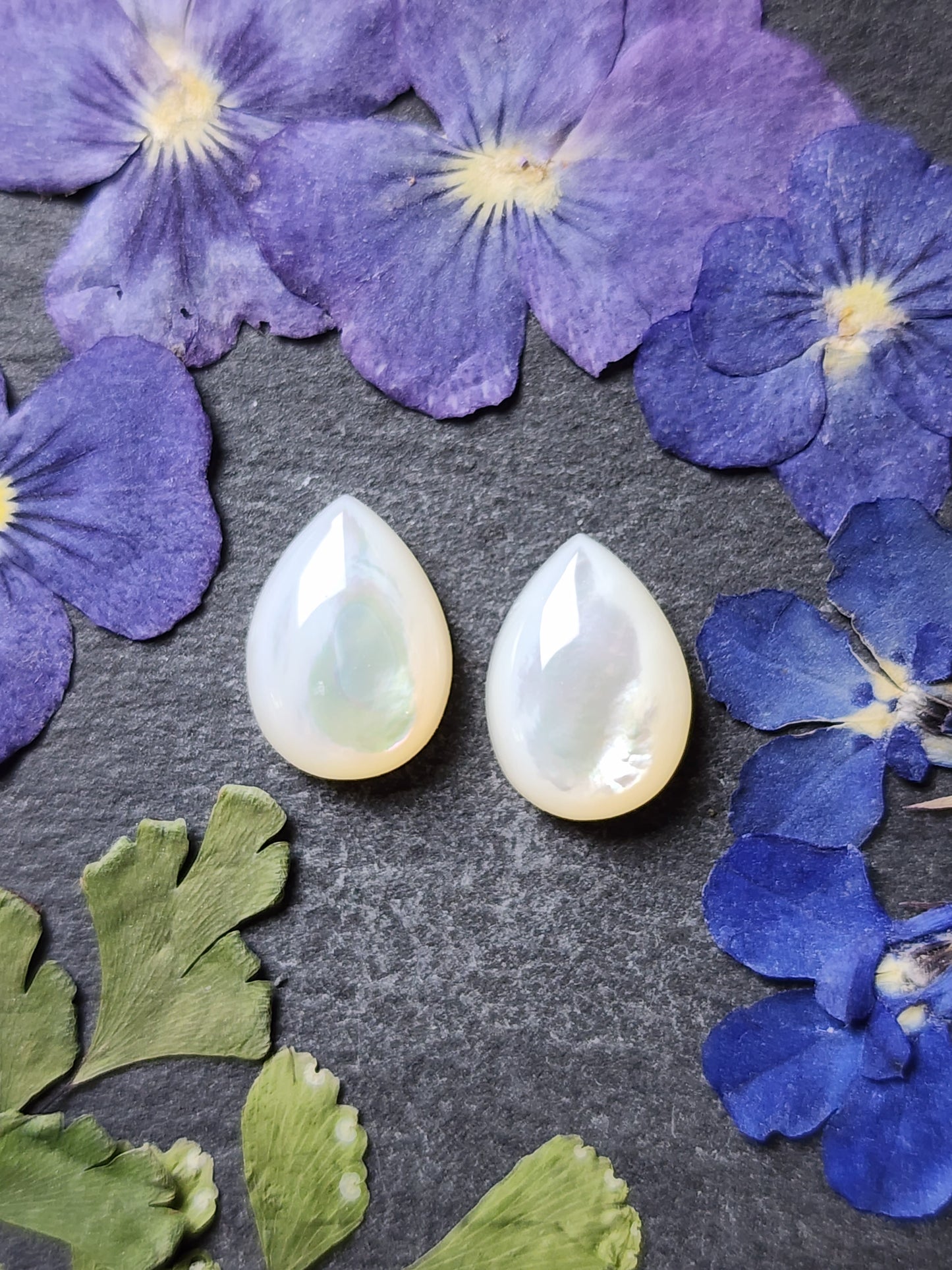 Mother of pearl shell pair (A1)