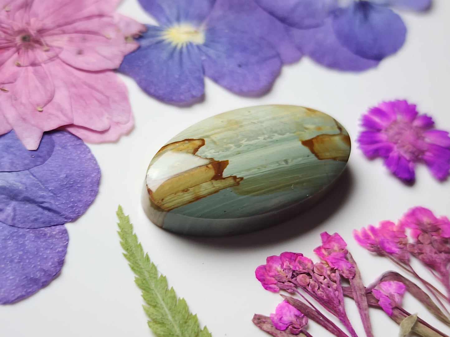 Succor creek picture jasper