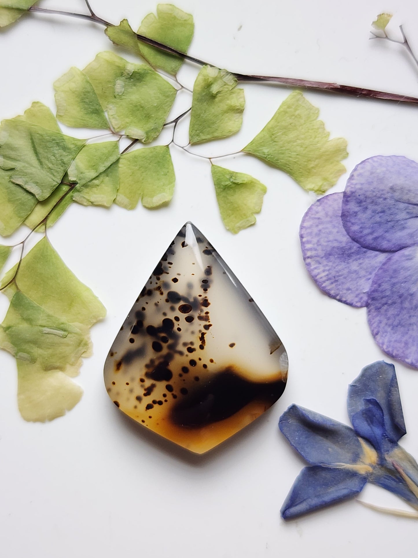 Montana agate
