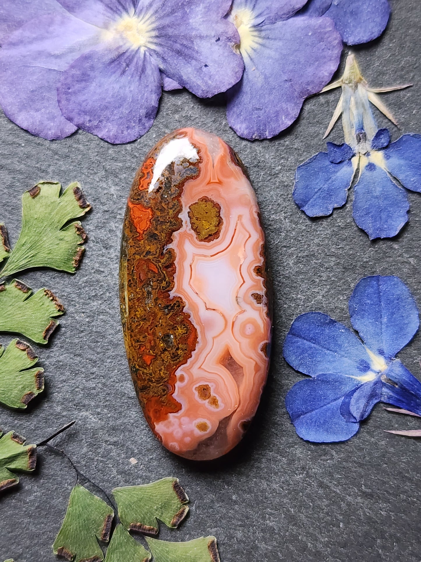 Moroccan seam agate