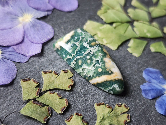 Ocean jasper