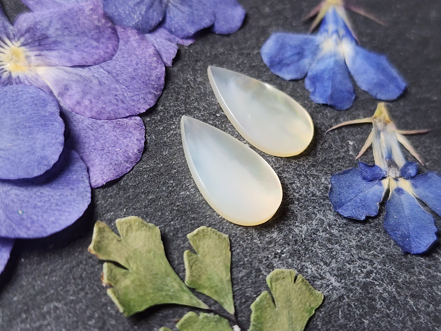 Mother of pearl shell pair