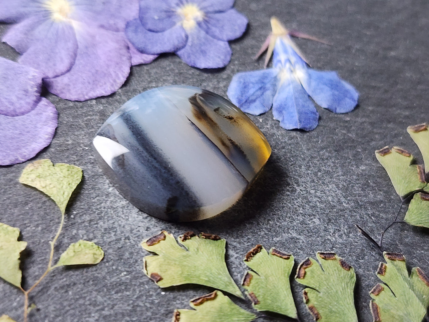 Montana agate