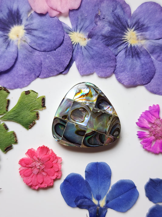 Mosaic Abalone shell
