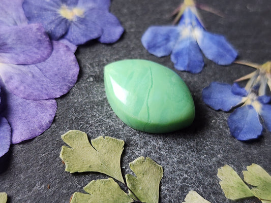 Newman Chrysoprase