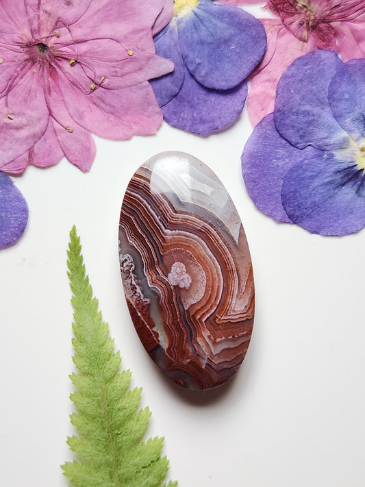 Laguna lace agate
