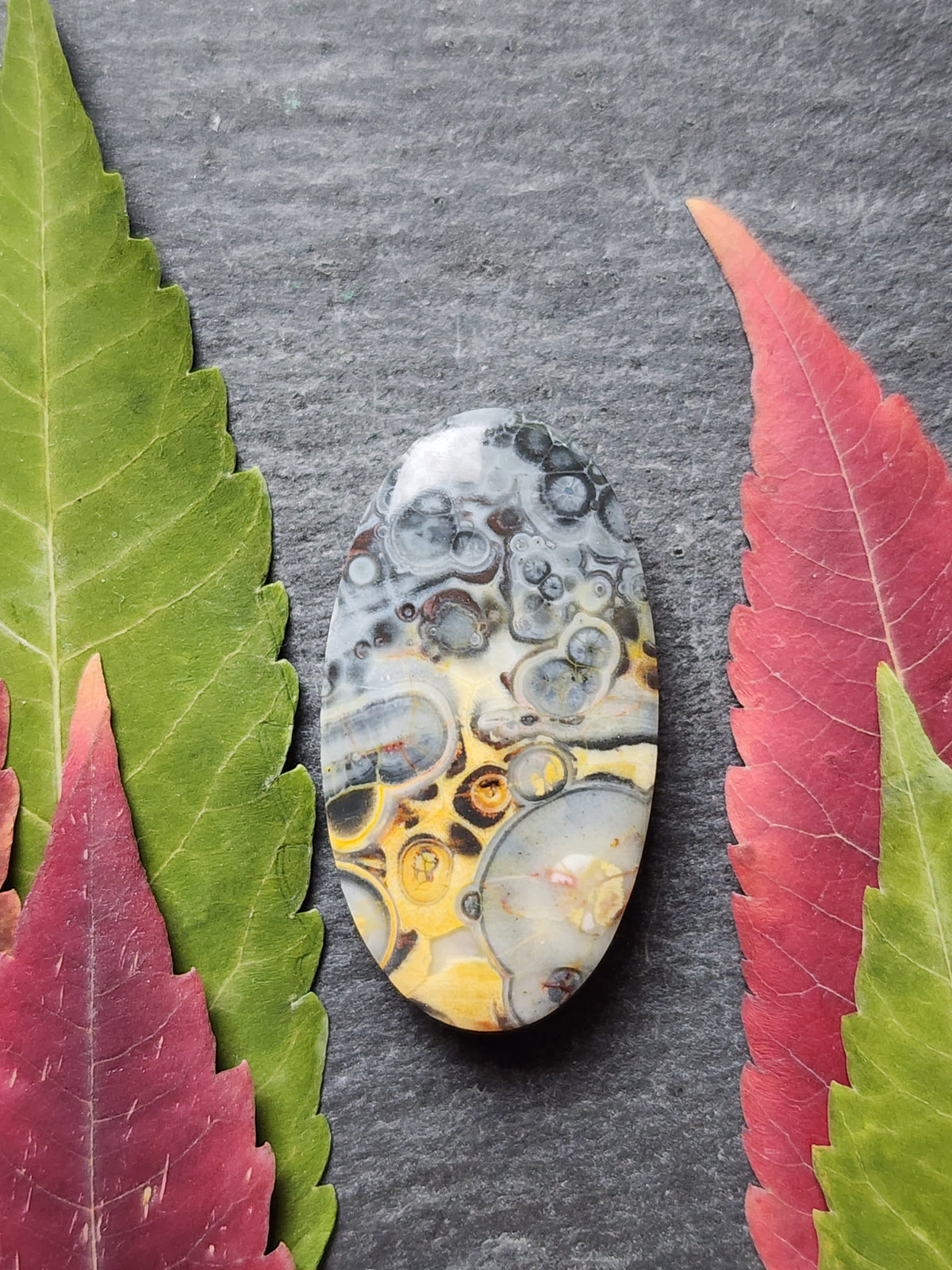 Galaxy Rhyolite