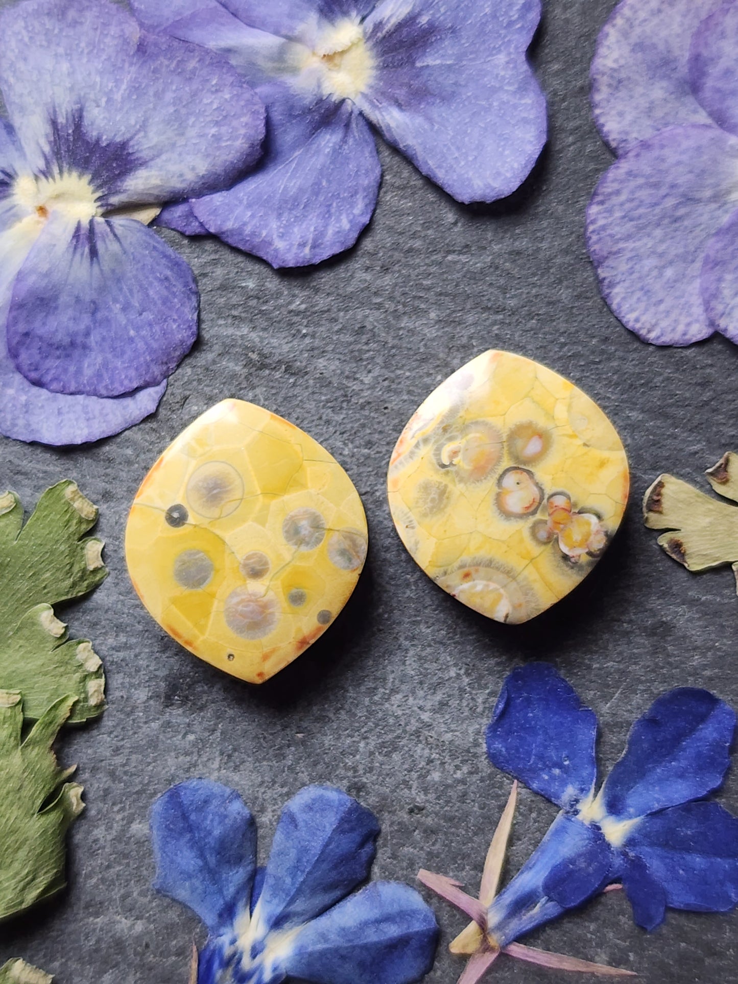 Galaxy Rhyolite pair