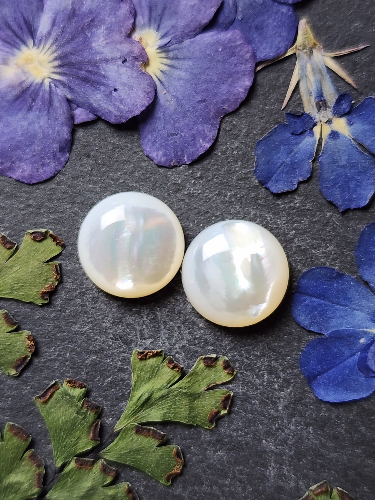 Mother of pearl shell pair (A2)