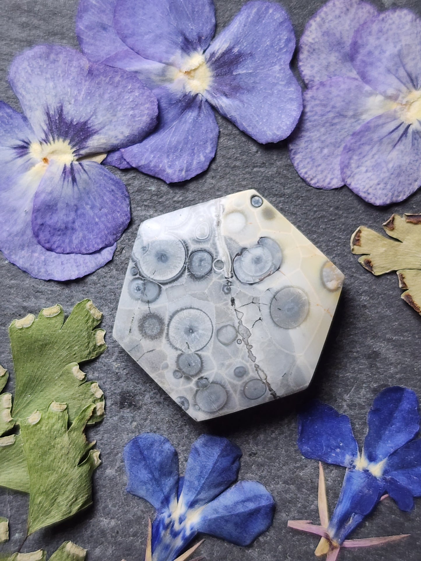 Galaxy Rhyolite