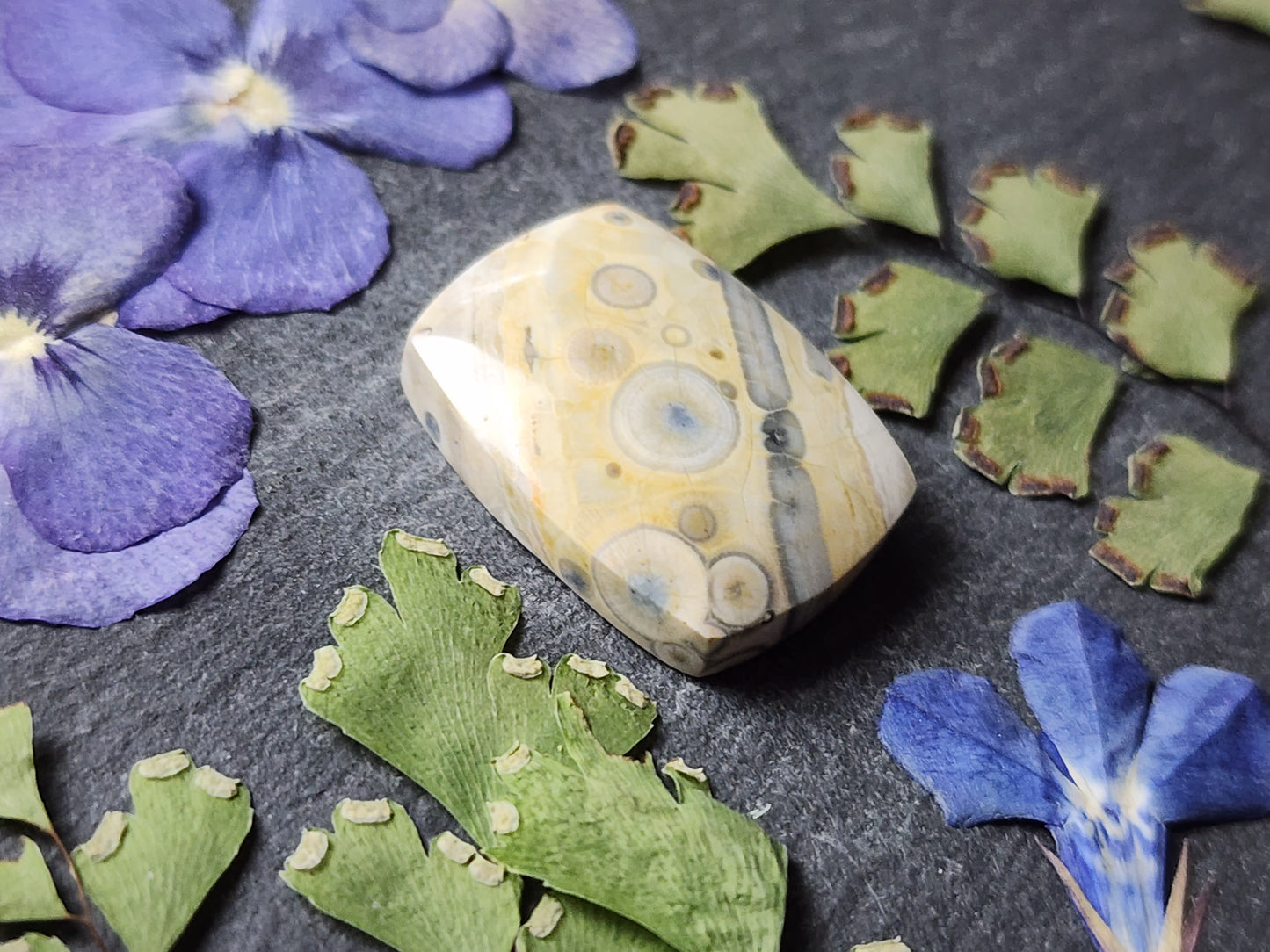 Galaxy Rhyolite