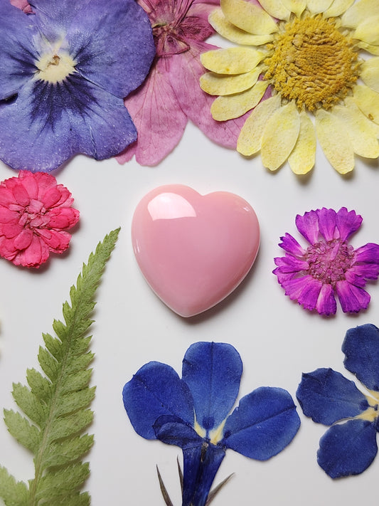 Pink Conch shell heart