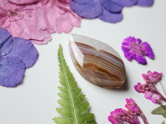 Agua Nueva agate