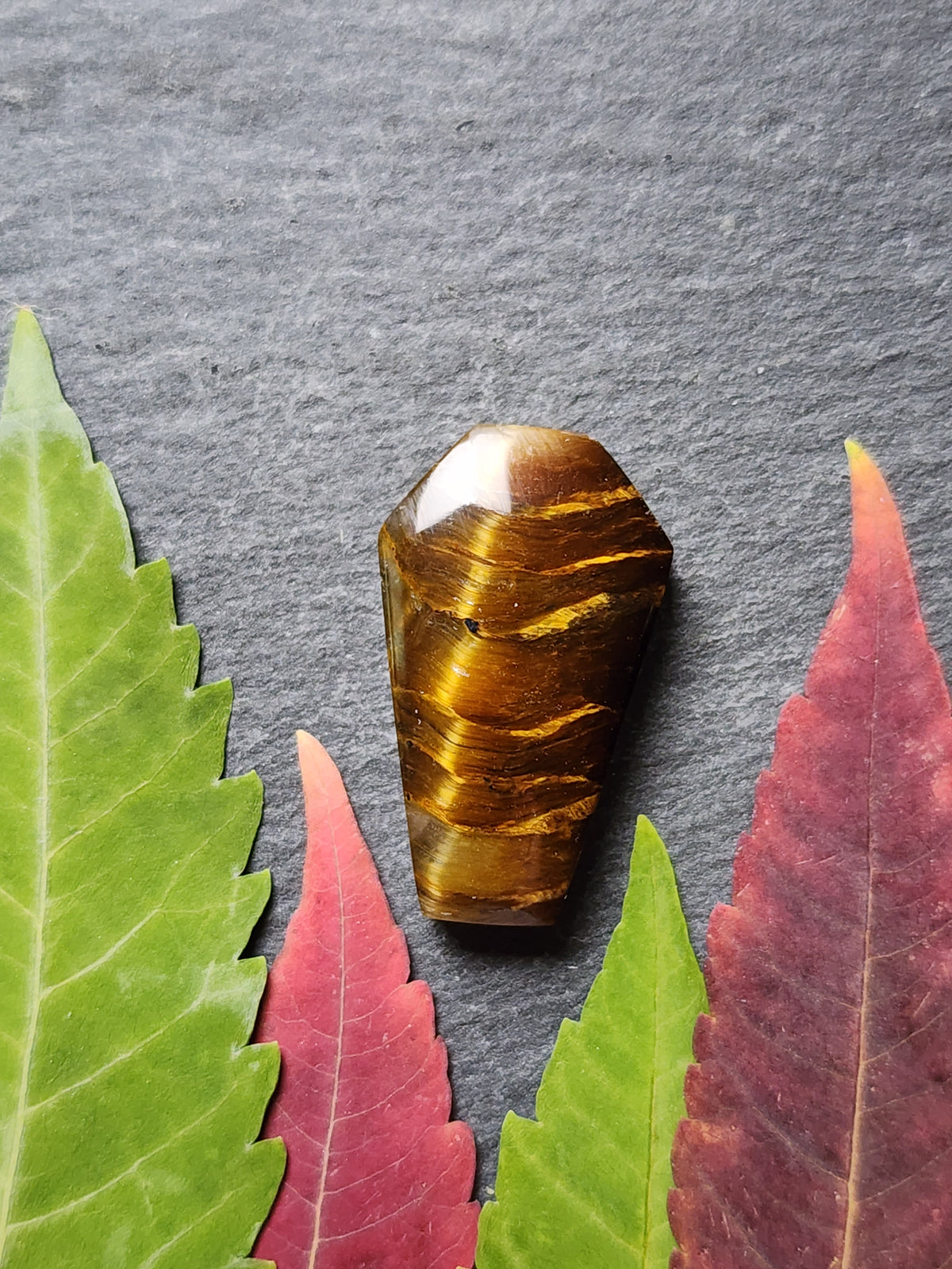 Tiger's eye coffin