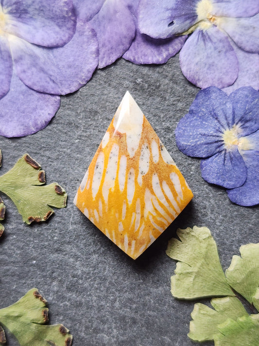 Spotted Fawn jasper