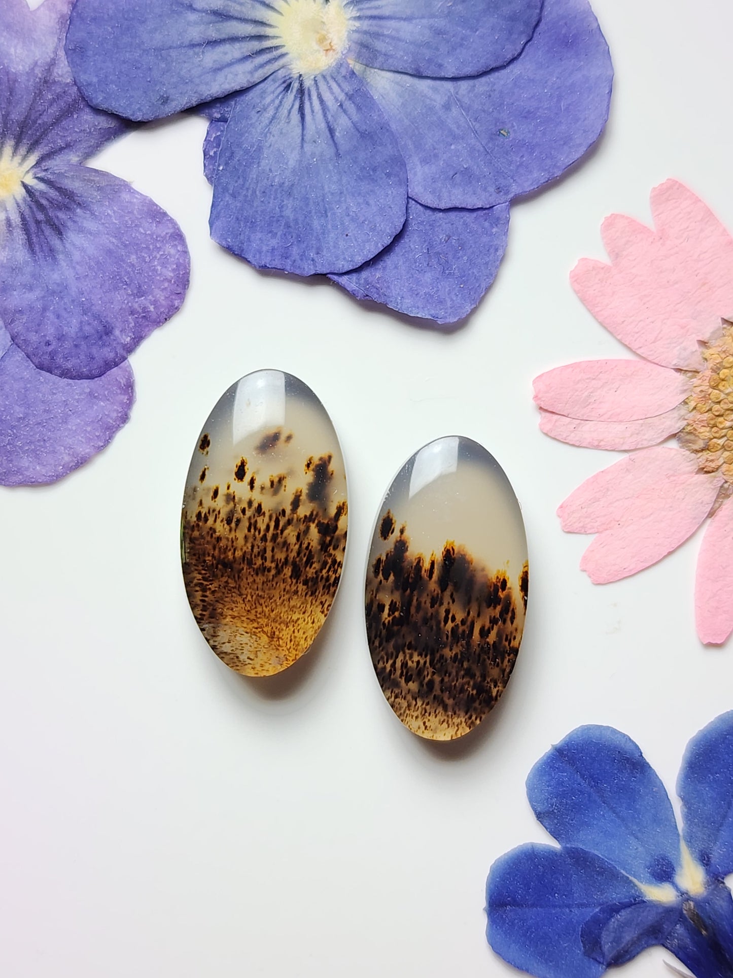 Montana agate pair
