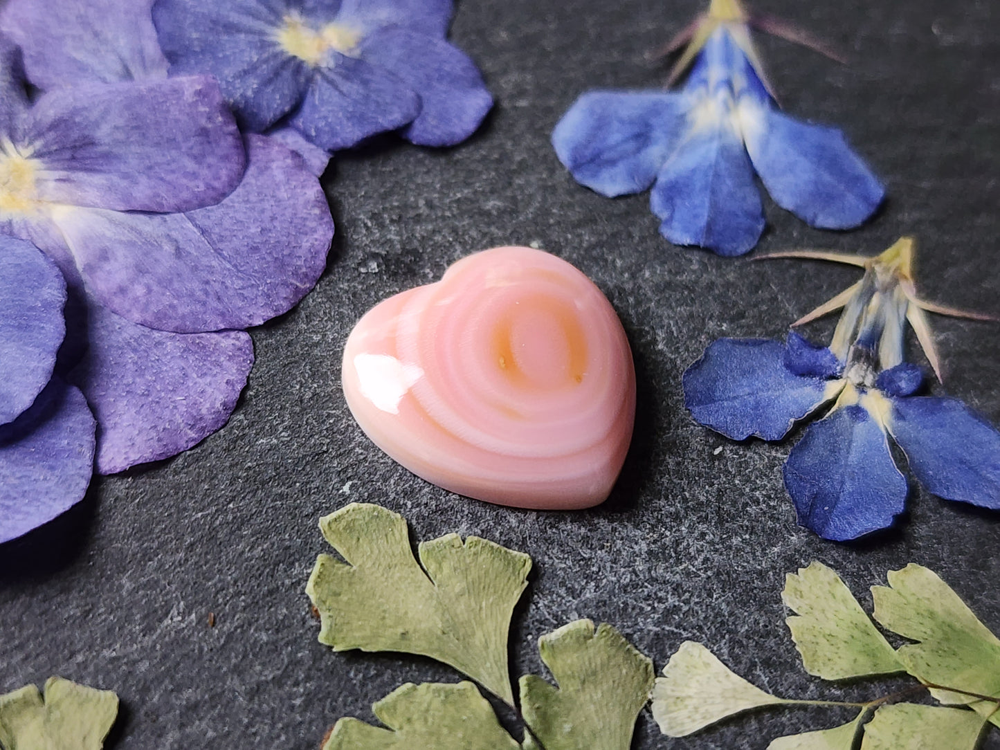 Pink Conch shell heart